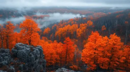 Understanding the Nuances of Tourism in Northern USA